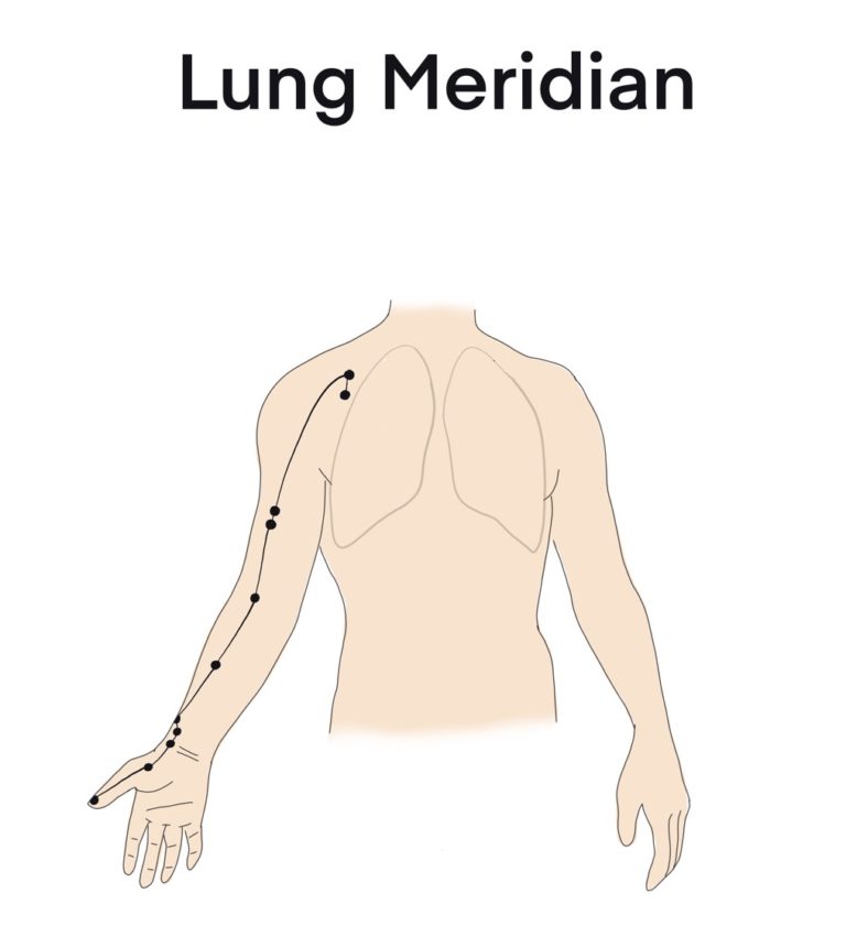 Lung meridian small | Qigong for Vitality